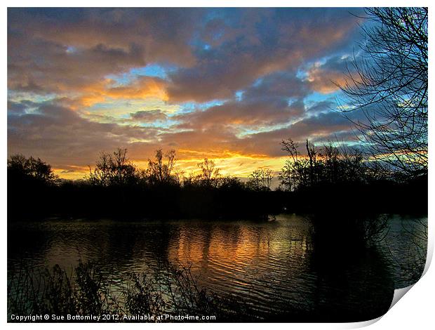 Hertfordshire sunrise Print by Sue Bottomley