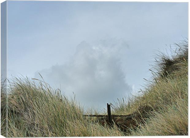 Among The Sand Dunes Canvas Print by Noreen Linale