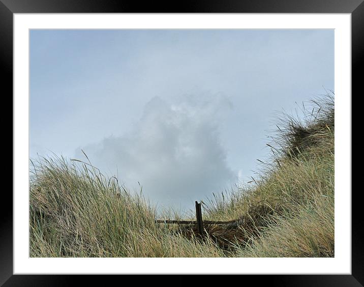 Among The Sand Dunes Framed Mounted Print by Noreen Linale