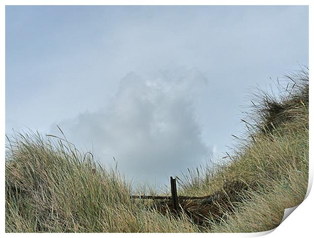 Among The Sand Dunes Print by Noreen Linale