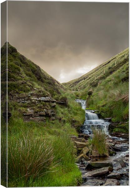 From the Moor Canvas Print by Jonathan Swetnam