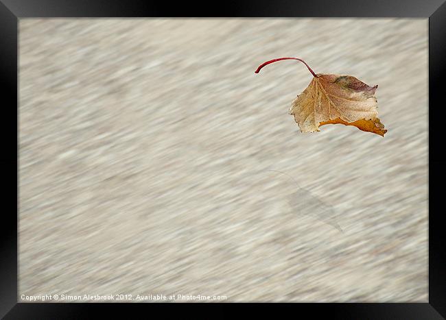 Leaf in flight Framed Print by Simon Alesbrook