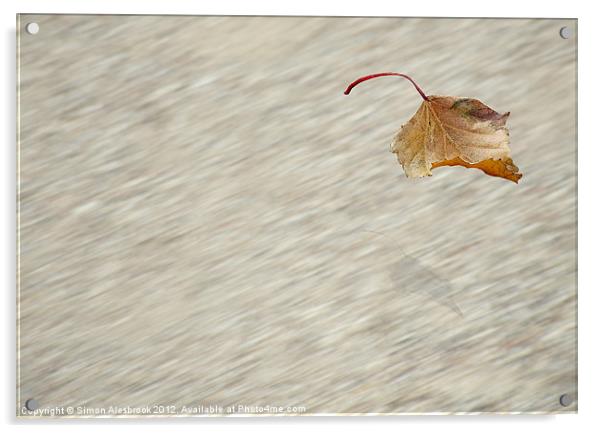 Leaf in flight Acrylic by Simon Alesbrook