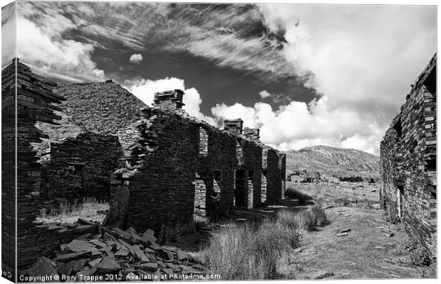 The remains of Rhosydd terrace Canvas Print by Rory Trappe