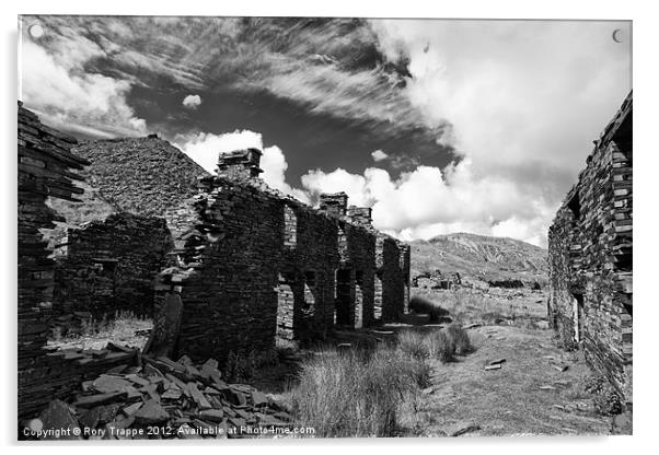 The remains of Rhosydd terrace Acrylic by Rory Trappe