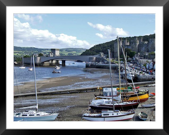 Conwy Harbour Framed Mounted Print by philip clarke