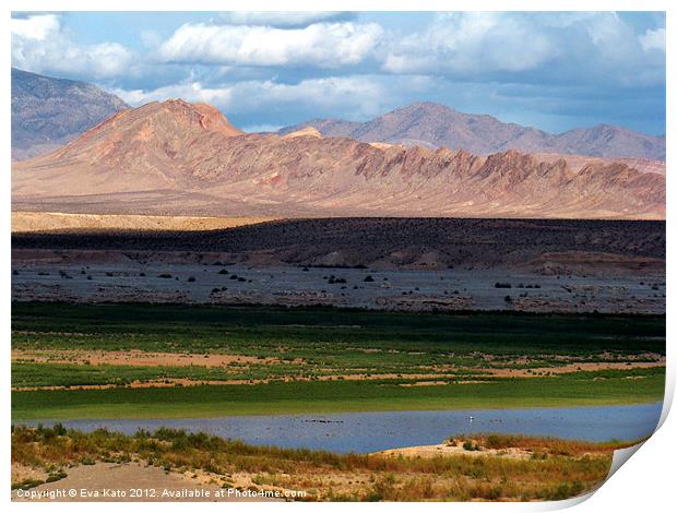 Valley of Fire Panorama Print by Eva Kato