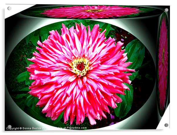 Flower Box Acrylic by Donna Duclos
