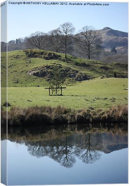 lake district reflections Canvas Print by Anthony Kellaway
