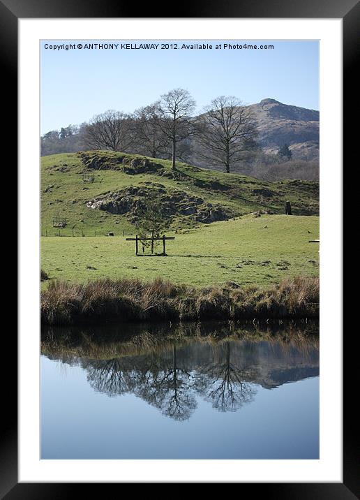 lake district reflections Framed Mounted Print by Anthony Kellaway