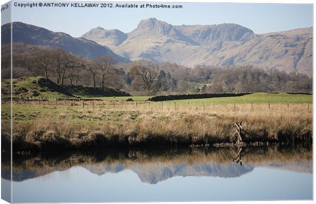 LAKE DISTRICT REFECTIONS Canvas Print by Anthony Kellaway