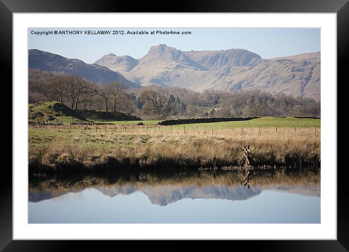 LAKE DISTRICT REFECTIONS Framed Mounted Print by Anthony Kellaway