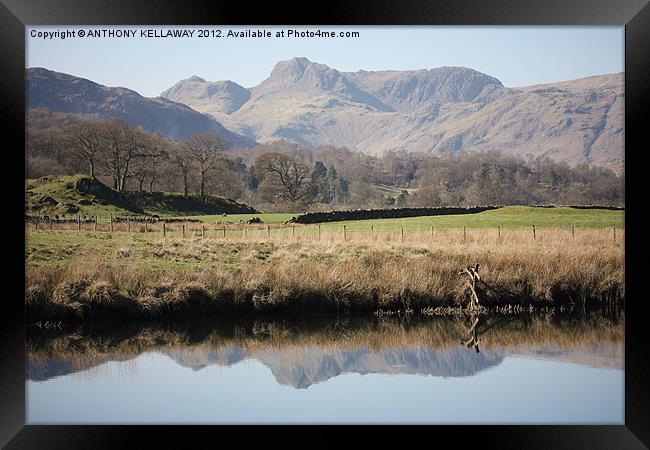 LAKE DISTRICT REFECTIONS Framed Print by Anthony Kellaway