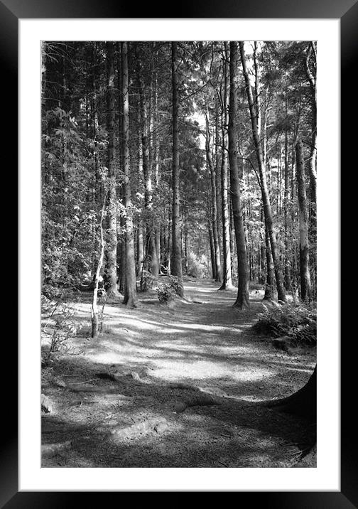 Beecraigs Country Park, Scotland Framed Mounted Print by Lee Osborne
