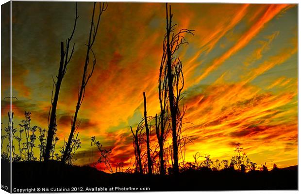 Sky Fire Sunrise Canvas Print by Nik Catalina
