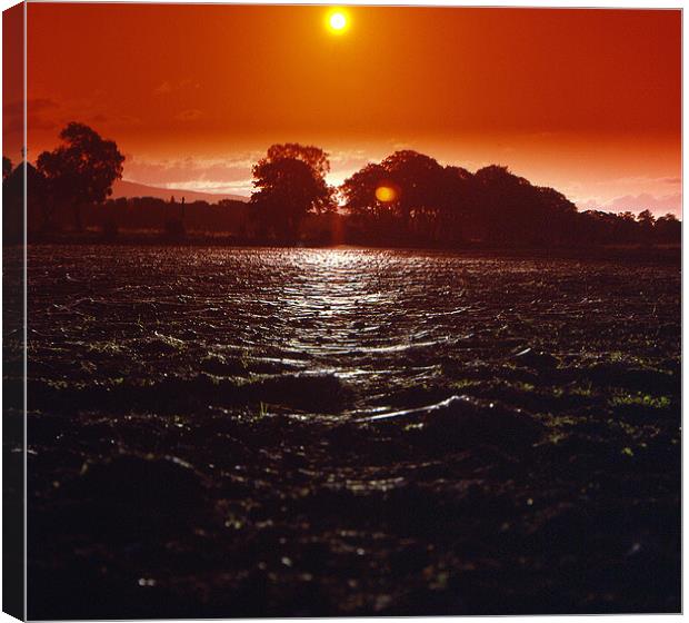 Gossamer Sunset Fields Canvas Print by Howard Little