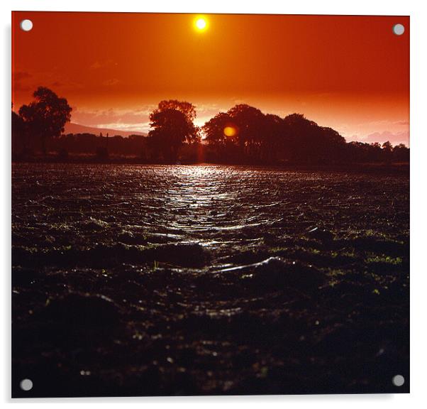 Gossamer Sunset Fields Acrylic by Howard Little