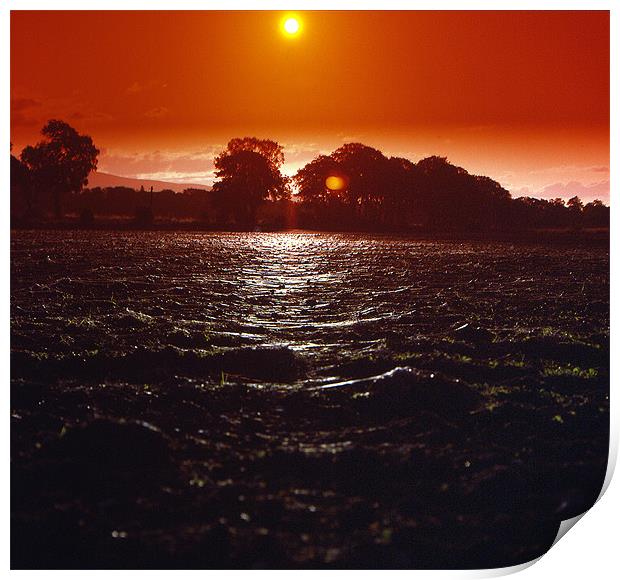 Gossamer Sunset Fields Print by Howard Little