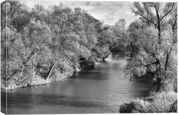 Dreamy River Canvas Print by Mary Lane