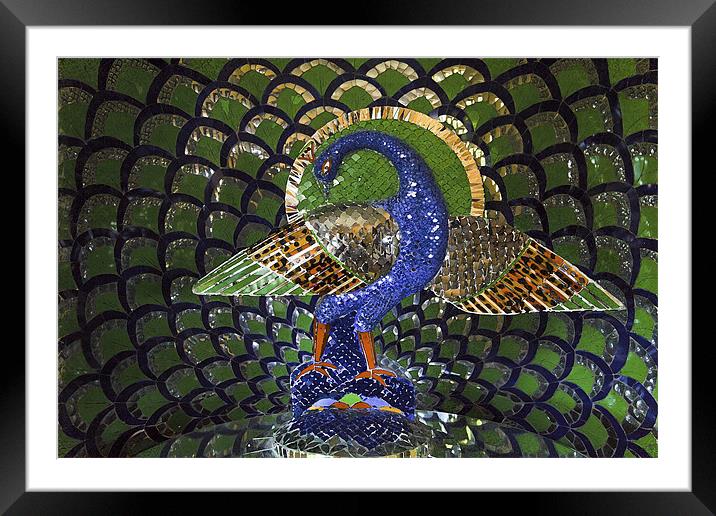 Peacok Mosaic indigenous art Framed Mounted Print by Arfabita  