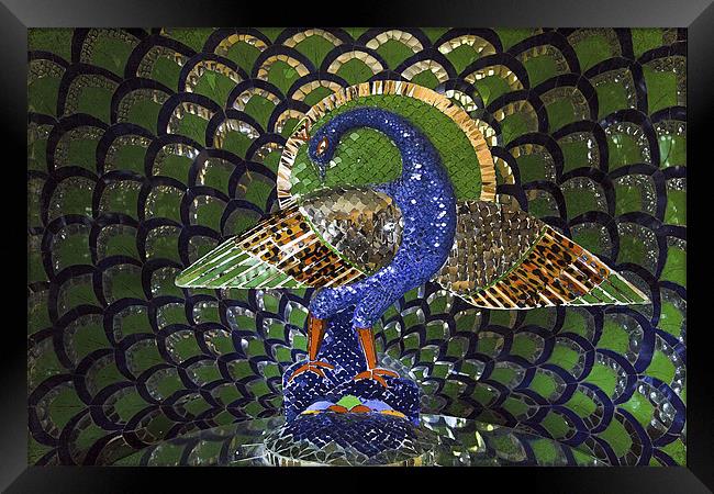 Peacok Mosaic indigenous art Framed Print by Arfabita  