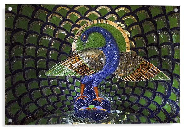 Peacok Mosaic indigenous art Acrylic by Arfabita  