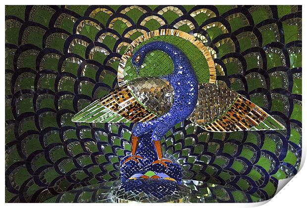 Peacok Mosaic indigenous art Print by Arfabita  
