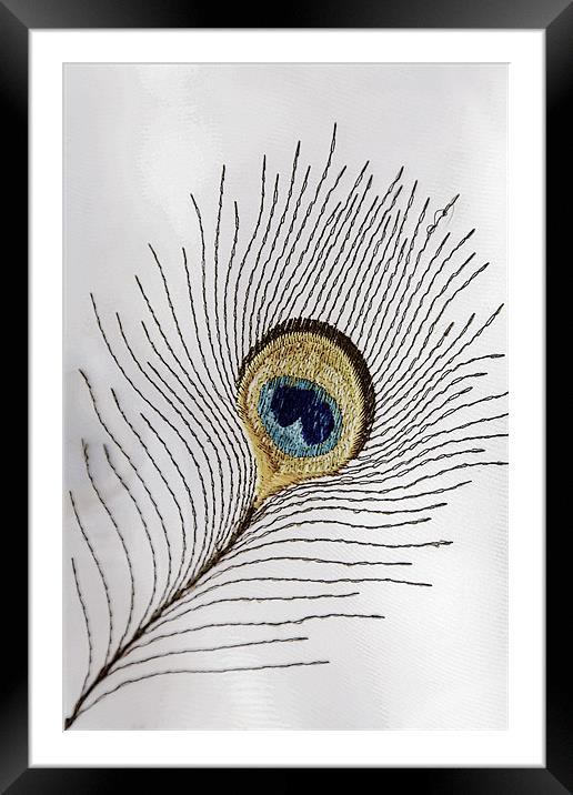 Embroidered peacock feather Shiny material Framed Mounted Print by Arfabita  