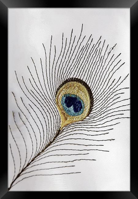 Embroidered peacock feather Shiny material Framed Print by Arfabita  