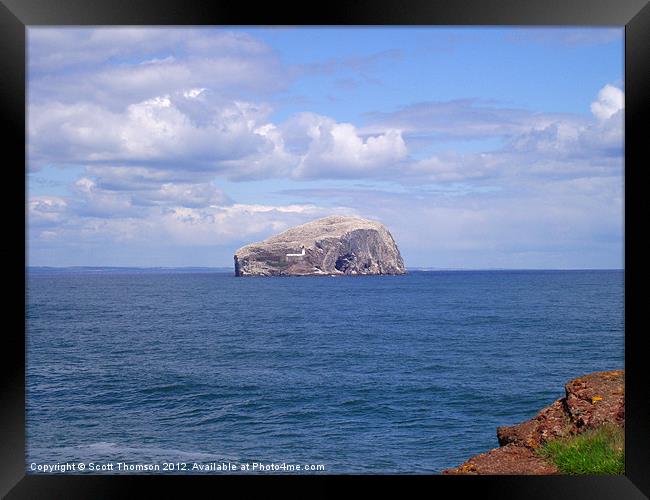 Bass Rock Framed Print by Scott Thomson