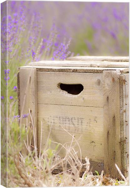 The Old Crate Canvas Print by Dawn Cox