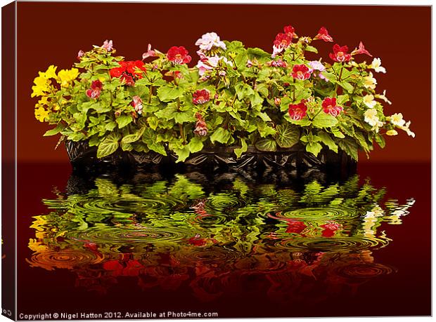 Flowers Reflections Canvas Print by Nigel Hatton