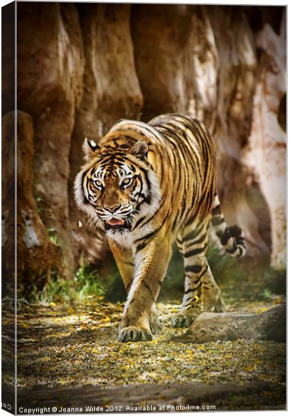 Tiger Canvas Print by Joanne Wilde