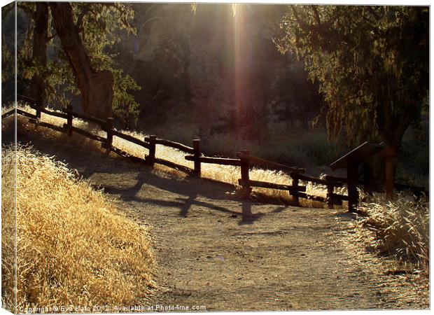 The lighted path Canvas Print by Eva Kato