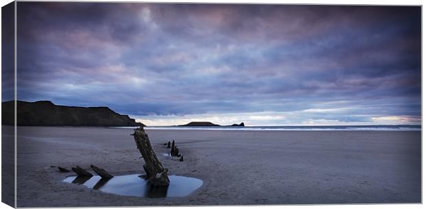WORMS HEAD#2 Canvas Print by Anthony R Dudley (LRPS)