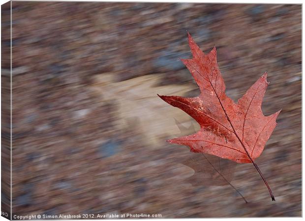 Bright Red Leaf in the Wind Canvas Print by Simon Alesbrook