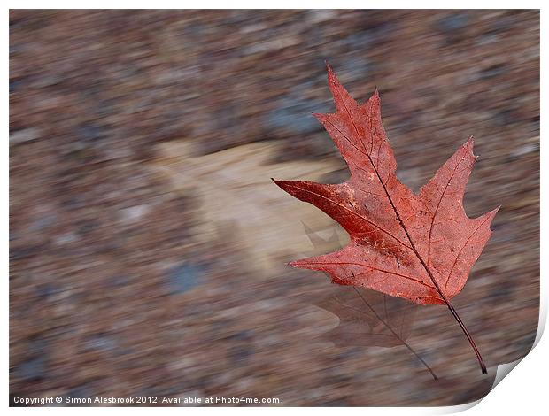 Bright Red Leaf in the Wind Print by Simon Alesbrook