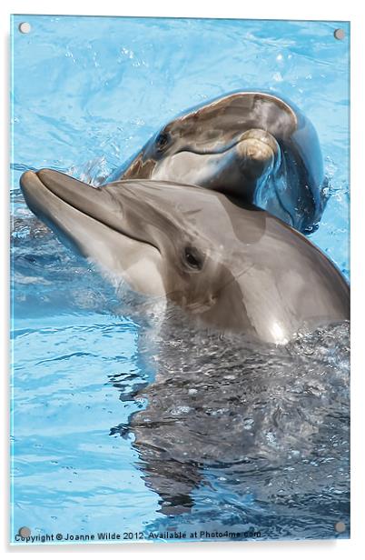 Dolphin Love Acrylic by Joanne Wilde