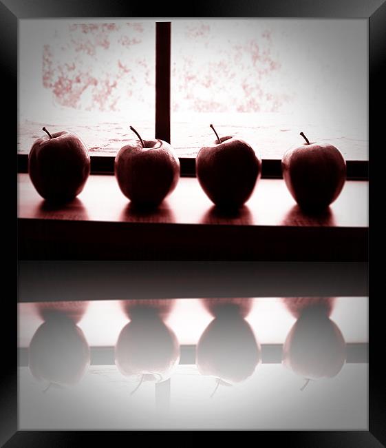 reflect on 4 apples Framed Print by Isabel Antonelli