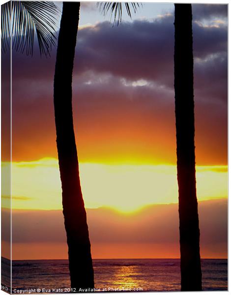 Palms at Sunset Canvas Print by Eva Kato