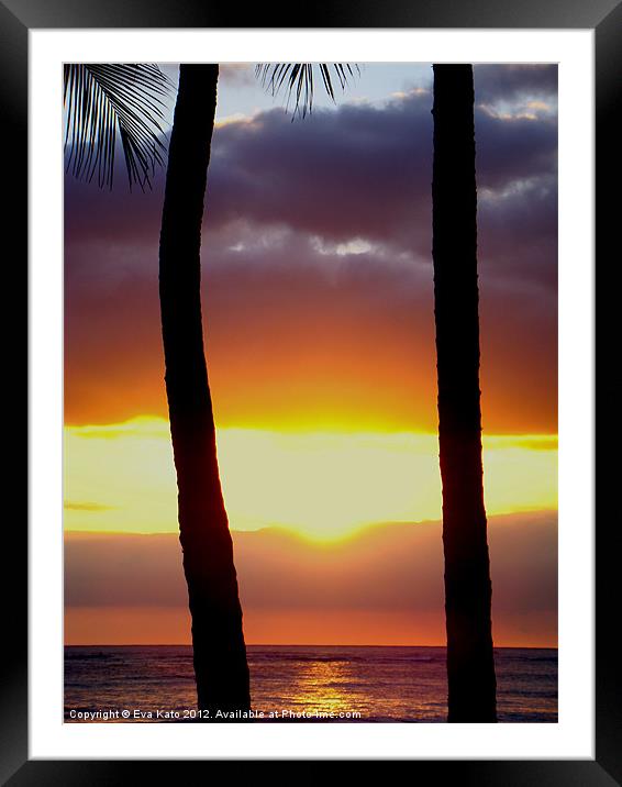 Palms at Sunset Framed Mounted Print by Eva Kato