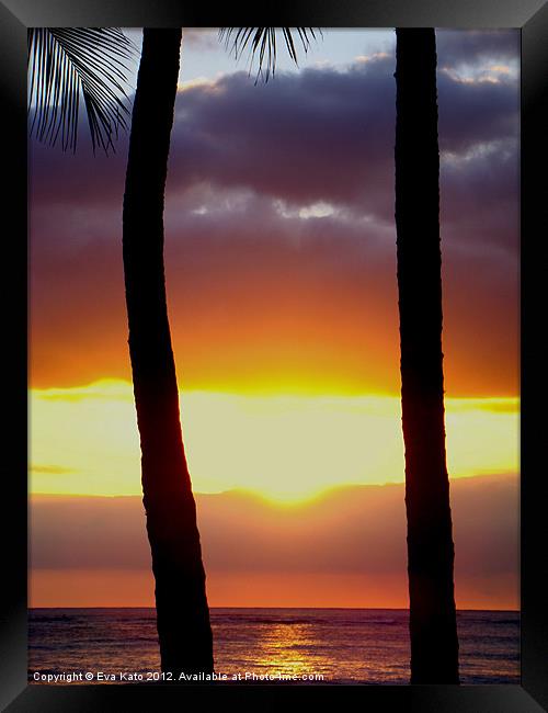 Palms at Sunset Framed Print by Eva Kato