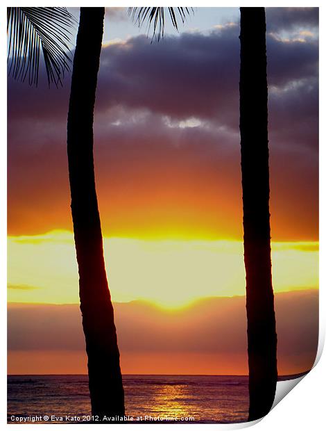 Palms at Sunset Print by Eva Kato