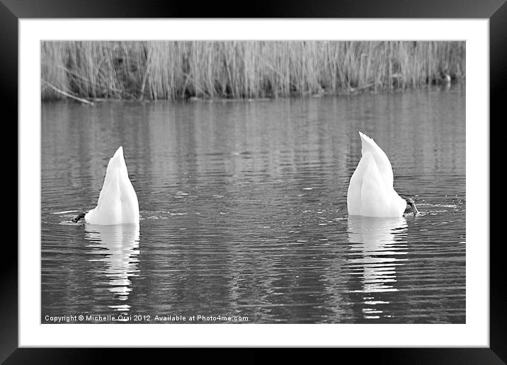 One, Two and Dive! Framed Mounted Print by Michelle Orai