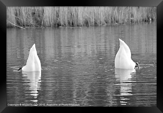 One, Two and Dive! Framed Print by Michelle Orai