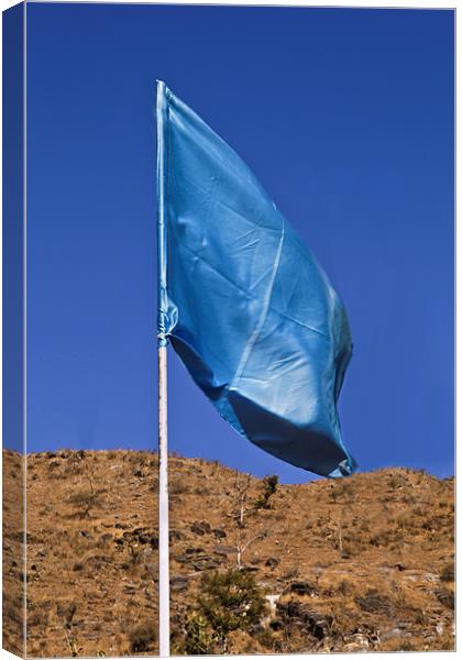 Silky blue flag in the breeze Canvas Print by Arfabita  