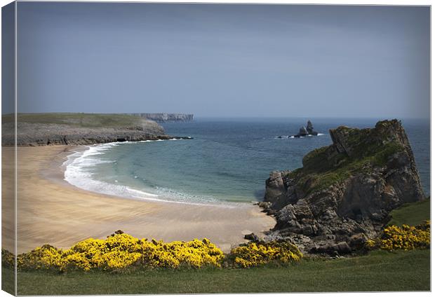BROADHAVEN SOUTH #1 Canvas Print by Anthony R Dudley (LRPS)