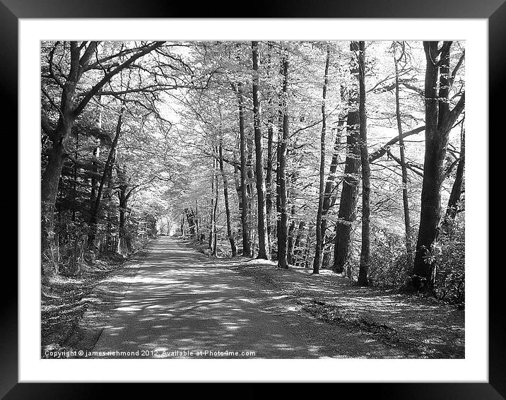 Long Leafy Lane - monochrome Framed Mounted Print by james richmond