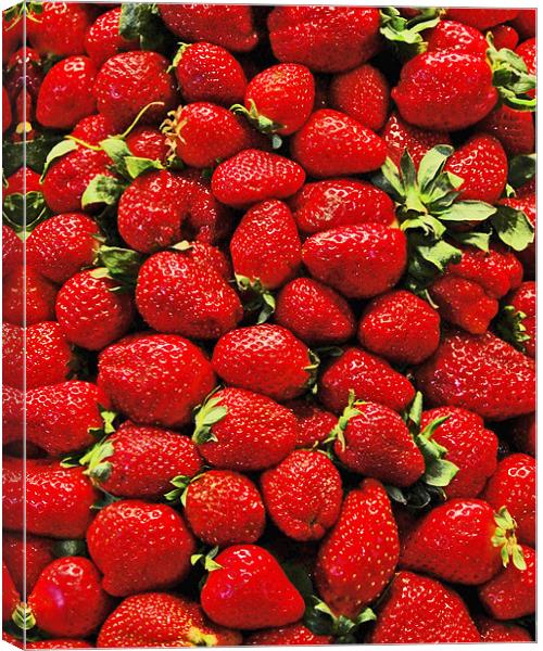 Strawberry's Canvas Print by Howard Little