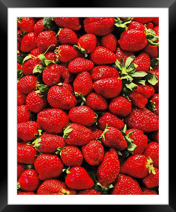 Strawberry's Framed Mounted Print by Howard Little
